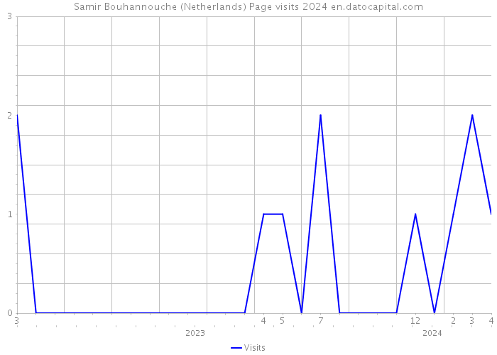 Samir Bouhannouche (Netherlands) Page visits 2024 