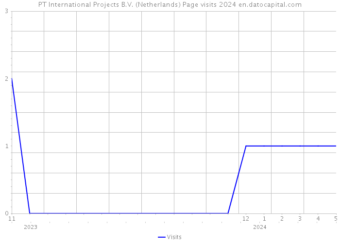 PT International Projects B.V. (Netherlands) Page visits 2024 