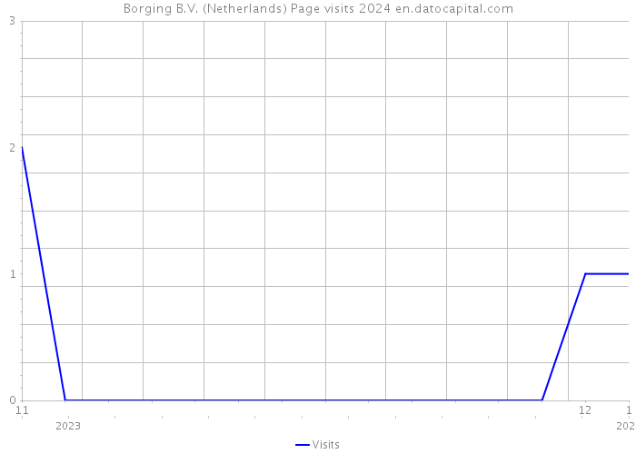 Borging B.V. (Netherlands) Page visits 2024 