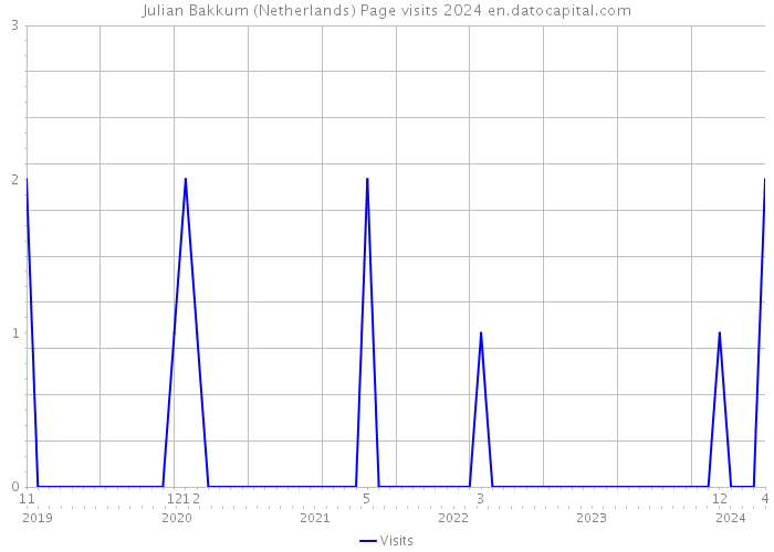 Julian Bakkum (Netherlands) Page visits 2024 