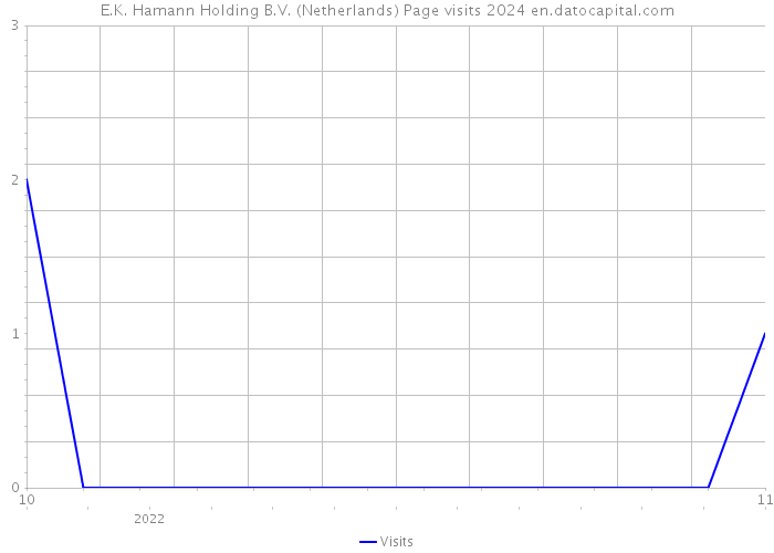 E.K. Hamann Holding B.V. (Netherlands) Page visits 2024 