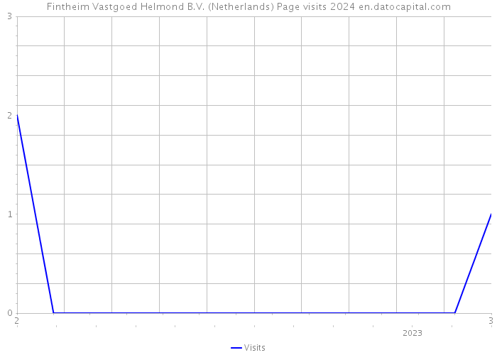 Fintheim Vastgoed Helmond B.V. (Netherlands) Page visits 2024 