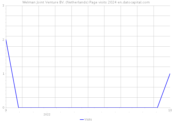 Welman Joint Venture BV. (Netherlands) Page visits 2024 