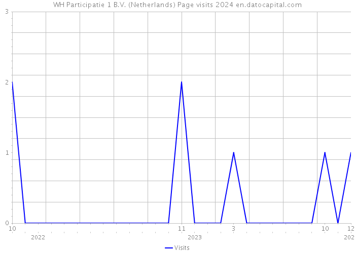 WH Participatie 1 B.V. (Netherlands) Page visits 2024 