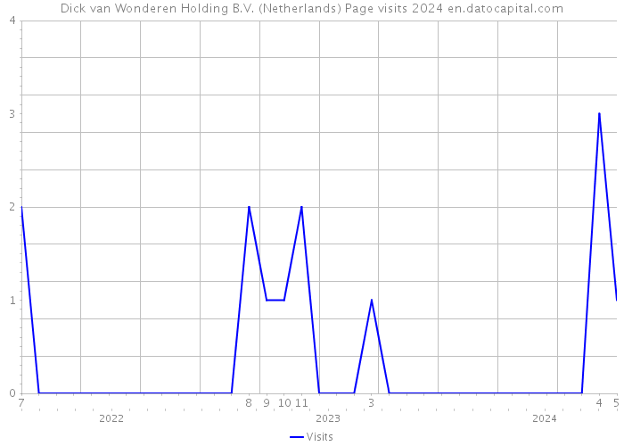 Dick van Wonderen Holding B.V. (Netherlands) Page visits 2024 