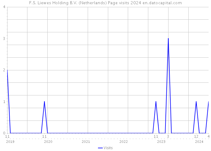 F.S. Liewes Holding B.V. (Netherlands) Page visits 2024 
