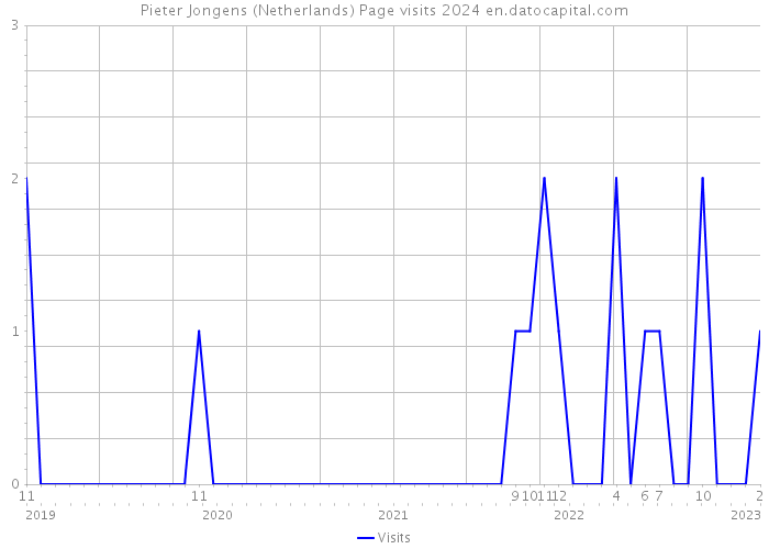 Pieter Jongens (Netherlands) Page visits 2024 