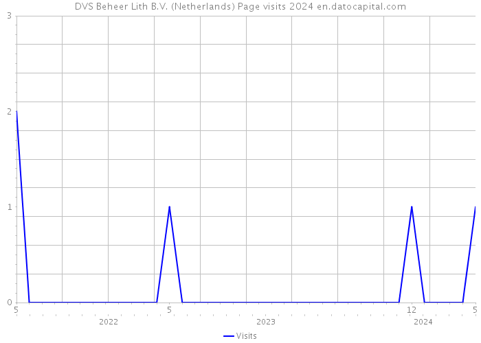 DVS Beheer Lith B.V. (Netherlands) Page visits 2024 