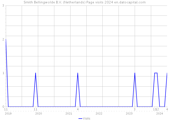 Smith Bellingwolde B.V. (Netherlands) Page visits 2024 