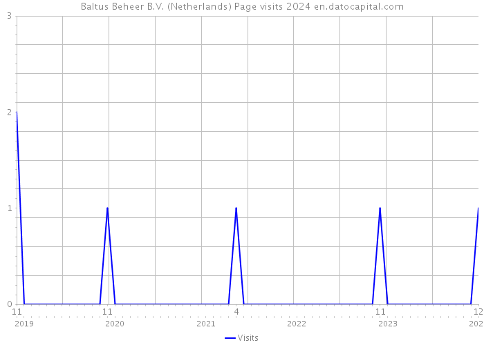 Baltus Beheer B.V. (Netherlands) Page visits 2024 