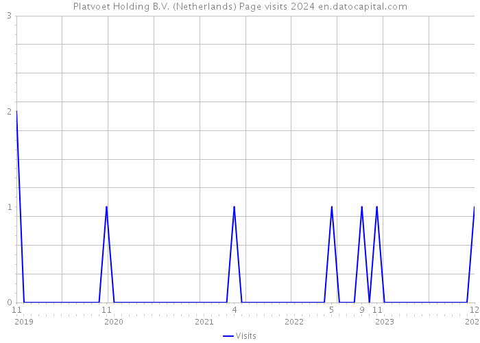 Platvoet Holding B.V. (Netherlands) Page visits 2024 