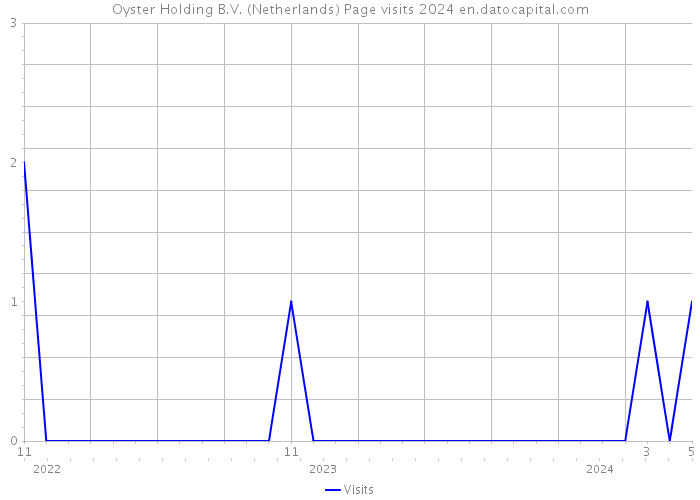 Oyster Holding B.V. (Netherlands) Page visits 2024 