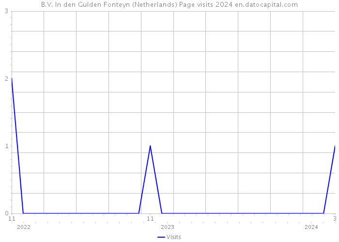 B.V. In den Gulden Fonteyn (Netherlands) Page visits 2024 