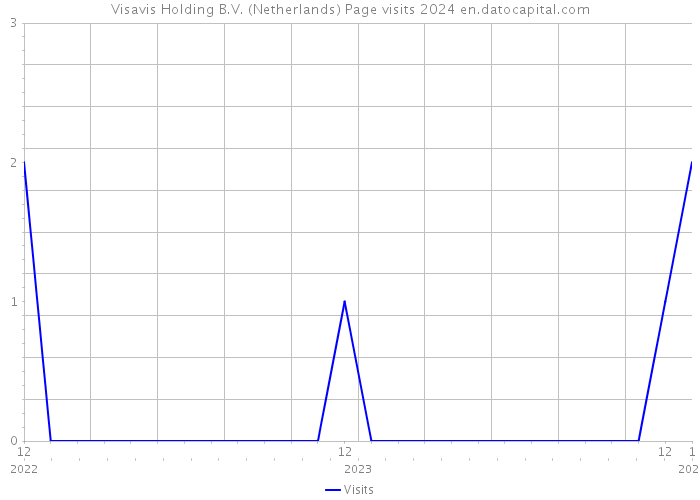 Visavis Holding B.V. (Netherlands) Page visits 2024 