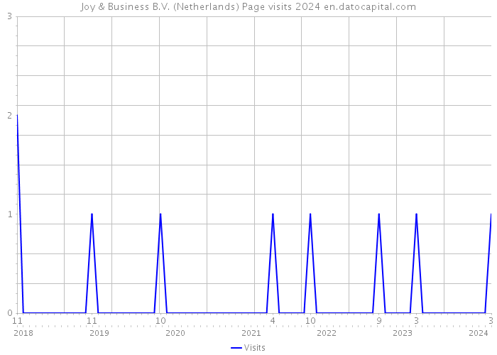 Joy & Business B.V. (Netherlands) Page visits 2024 