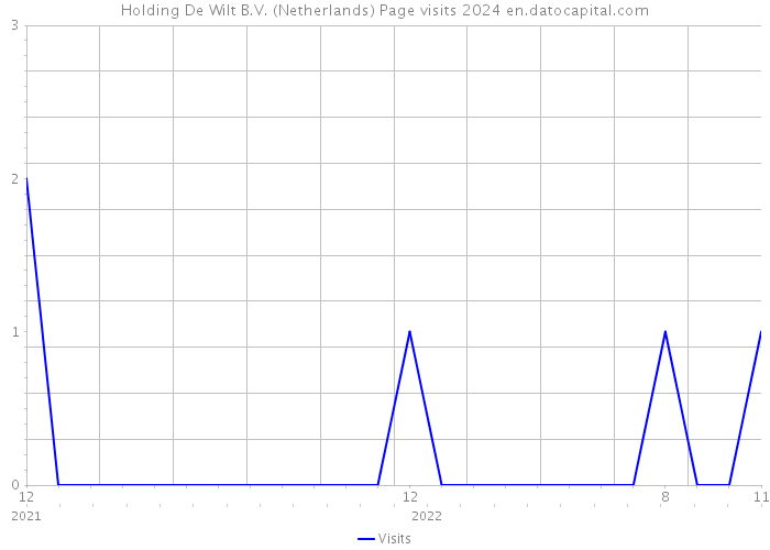 Holding De Wilt B.V. (Netherlands) Page visits 2024 