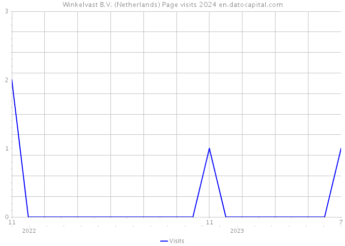 Winkelvast B.V. (Netherlands) Page visits 2024 