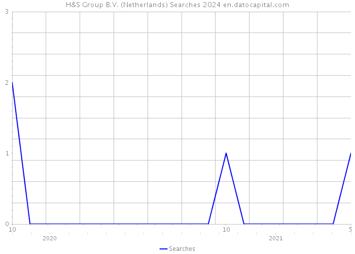 H&S Group B.V. (Netherlands) Searches 2024 