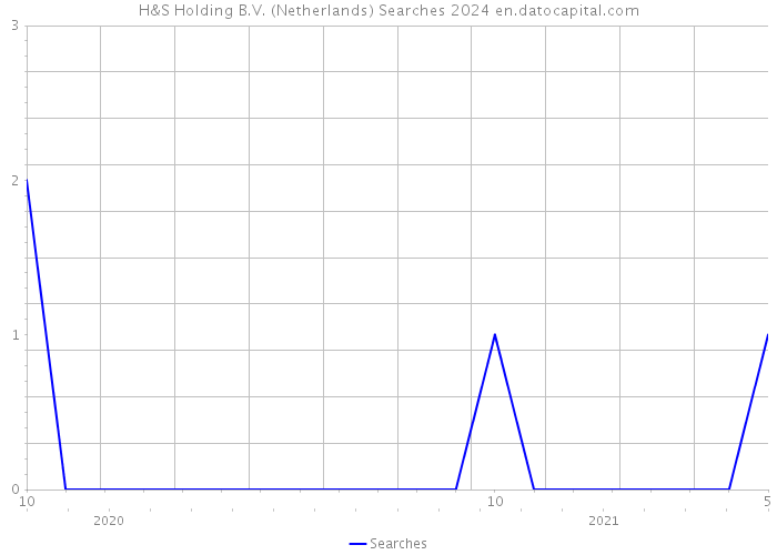 H&S Holding B.V. (Netherlands) Searches 2024 