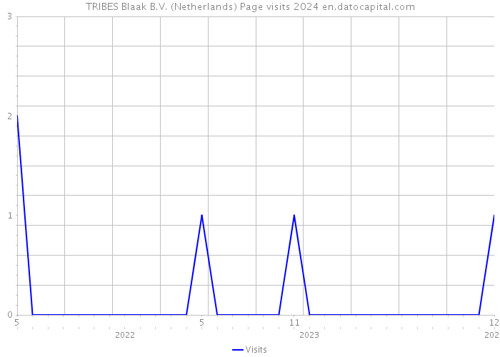 TRIBES Blaak B.V. (Netherlands) Page visits 2024 