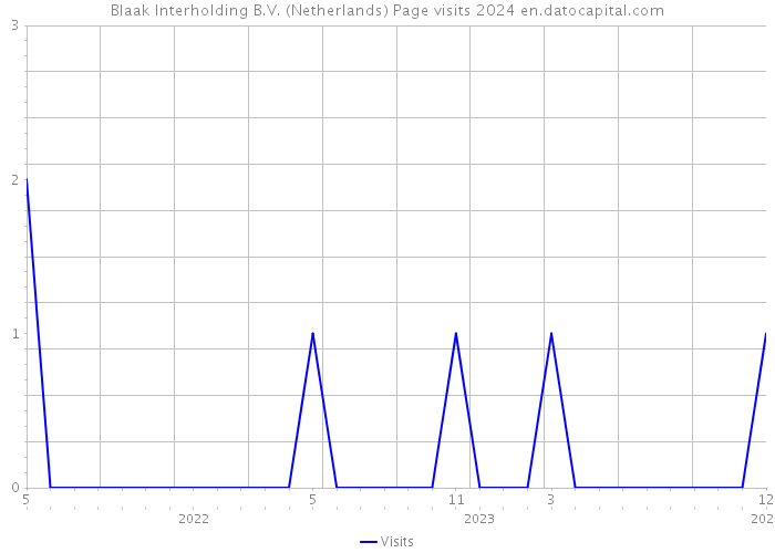 Blaak Interholding B.V. (Netherlands) Page visits 2024 