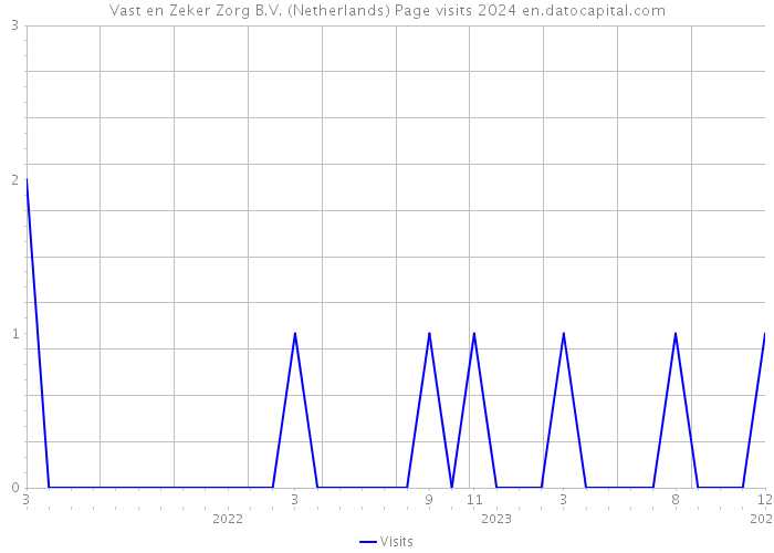 Vast en Zeker Zorg B.V. (Netherlands) Page visits 2024 