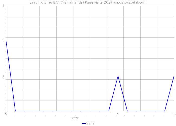 Laag Holding B.V. (Netherlands) Page visits 2024 