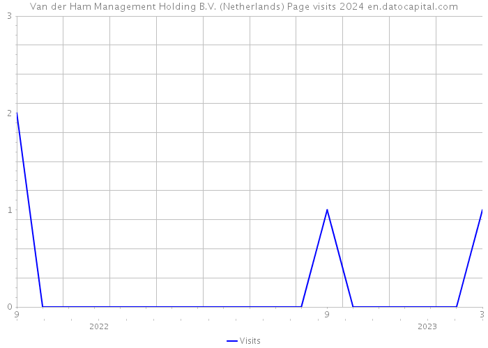Van der Ham Management Holding B.V. (Netherlands) Page visits 2024 