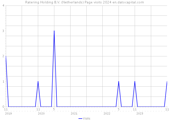 Ratering Holding B.V. (Netherlands) Page visits 2024 