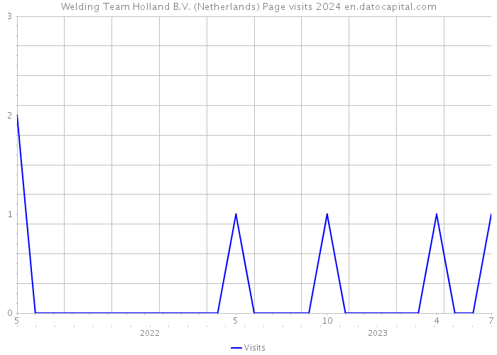 Welding Team Holland B.V. (Netherlands) Page visits 2024 