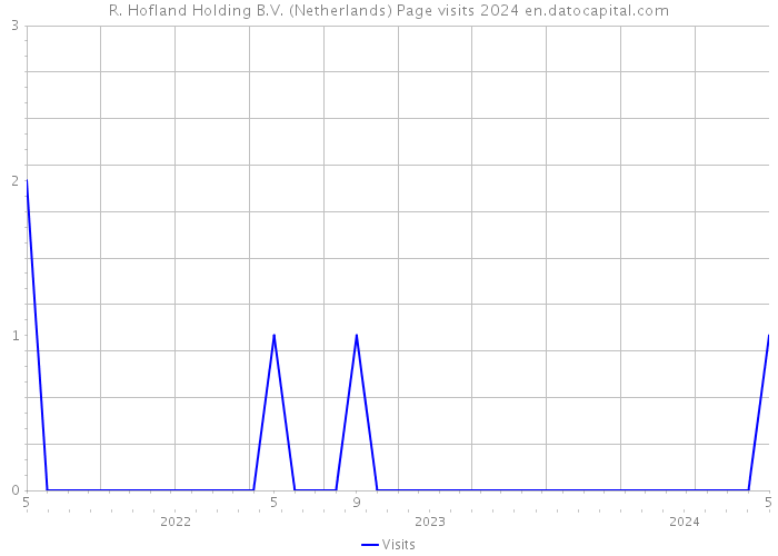 R. Hofland Holding B.V. (Netherlands) Page visits 2024 