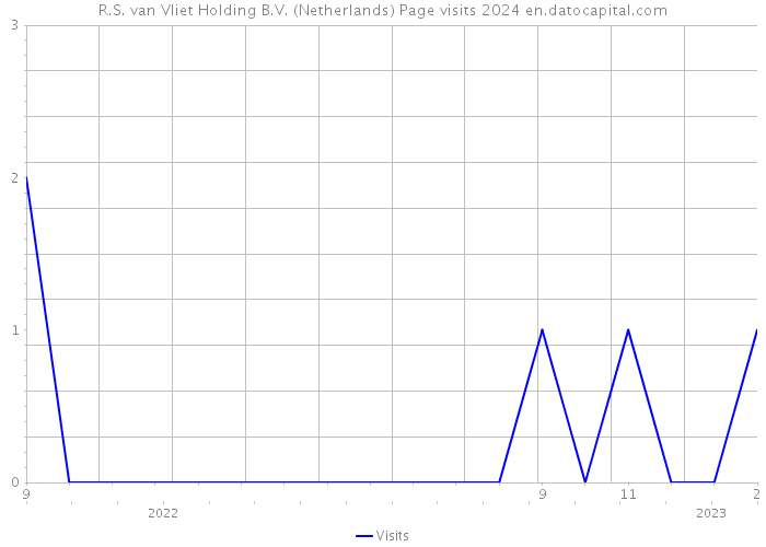 R.S. van Vliet Holding B.V. (Netherlands) Page visits 2024 