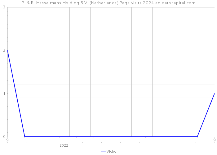 P. & R. Hesselmans Holding B.V. (Netherlands) Page visits 2024 