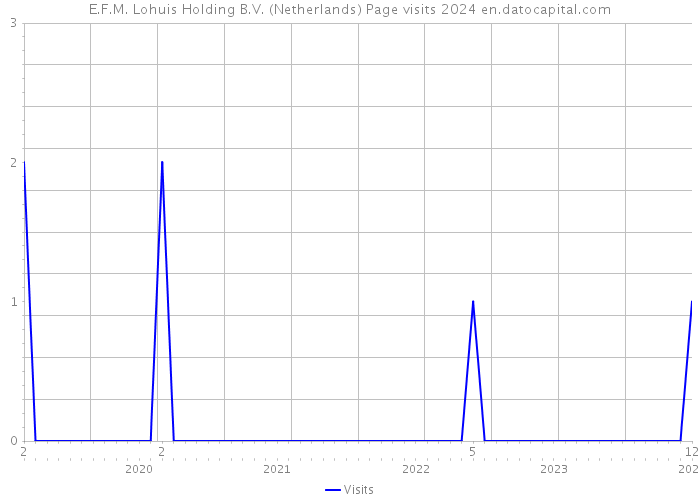 E.F.M. Lohuis Holding B.V. (Netherlands) Page visits 2024 