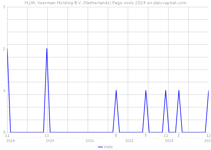 H.J.M. Veerman Holding B.V. (Netherlands) Page visits 2024 