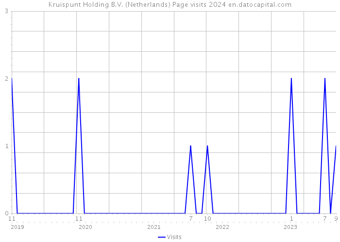 Kruispunt Holding B.V. (Netherlands) Page visits 2024 