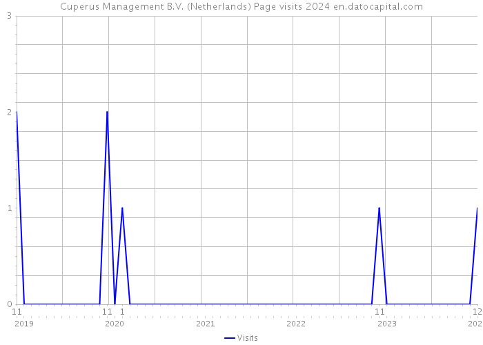 Cuperus Management B.V. (Netherlands) Page visits 2024 
