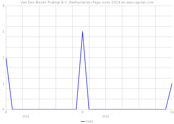 Van Den Biesen Praktijk B.V. (Netherlands) Page visits 2024 