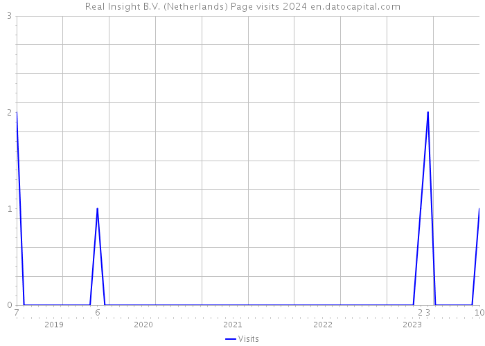 Real Insight B.V. (Netherlands) Page visits 2024 