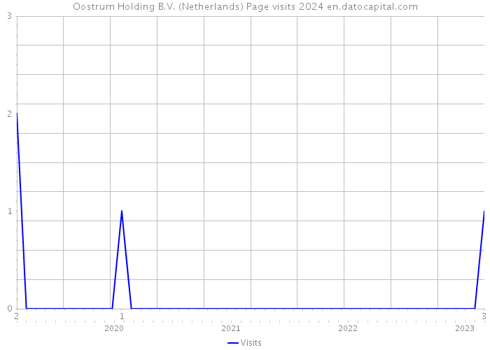 Oostrum Holding B.V. (Netherlands) Page visits 2024 