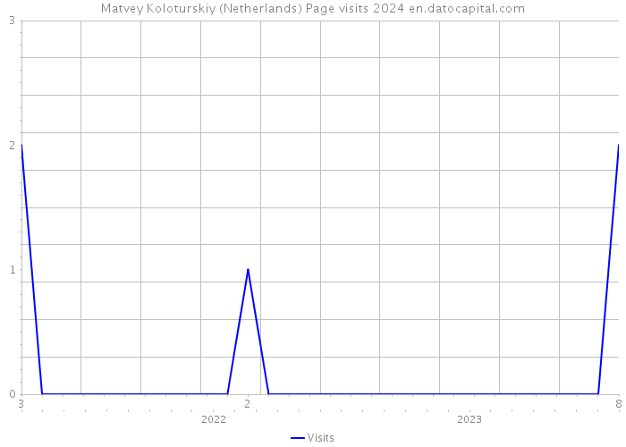 Matvey Koloturskiy (Netherlands) Page visits 2024 