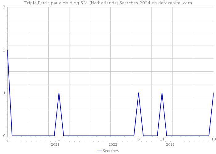 Triple Participatie Holding B.V. (Netherlands) Searches 2024 