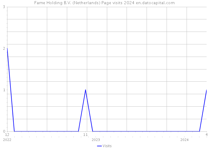 Fame Holding B.V. (Netherlands) Page visits 2024 