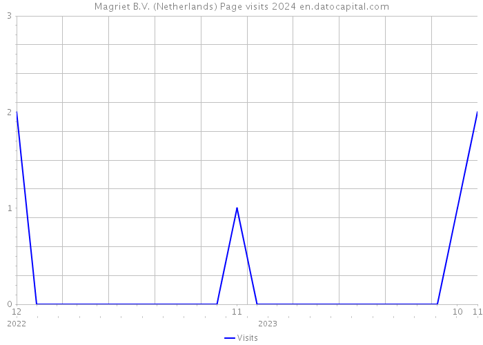 Magriet B.V. (Netherlands) Page visits 2024 