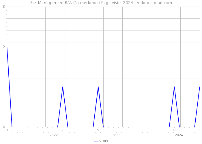Sas Management B.V. (Netherlands) Page visits 2024 