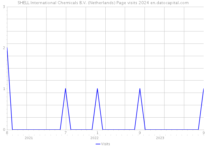SHELL International Chemicals B.V. (Netherlands) Page visits 2024 
