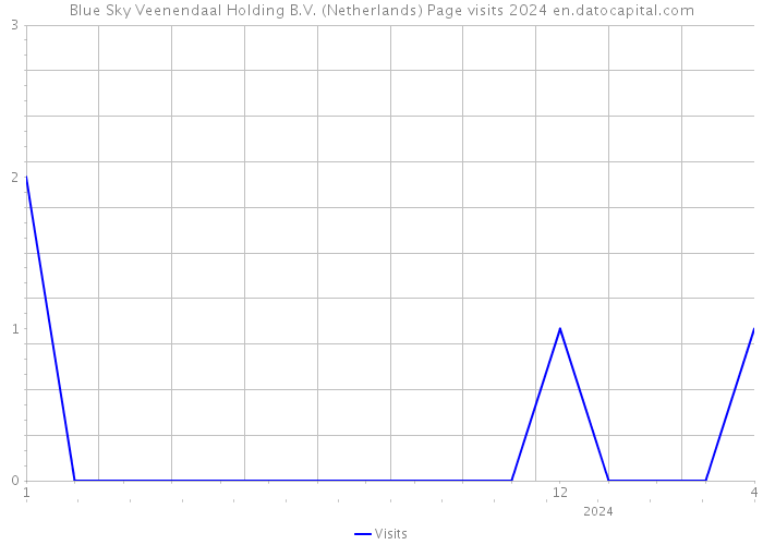 Blue Sky Veenendaal Holding B.V. (Netherlands) Page visits 2024 