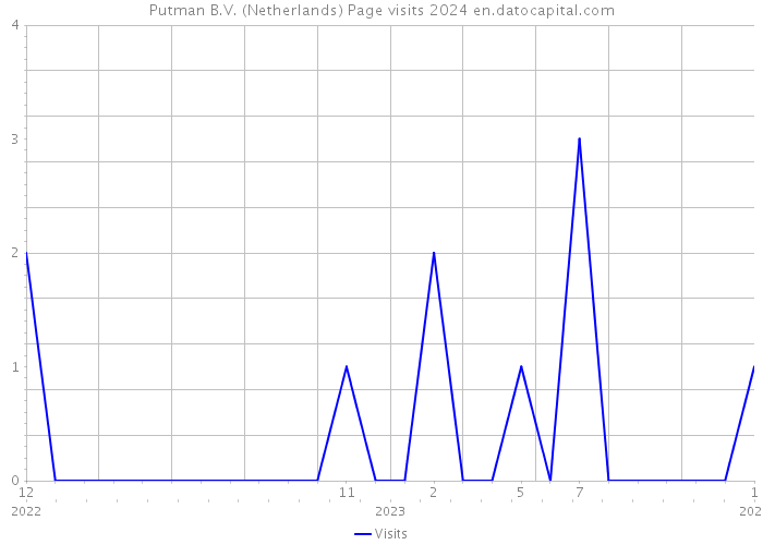 Putman B.V. (Netherlands) Page visits 2024 