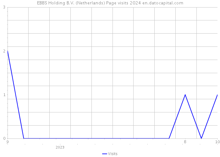 EBBS Holding B.V. (Netherlands) Page visits 2024 