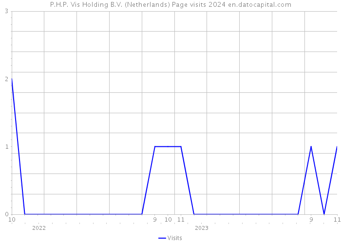 P.H.P. Vis Holding B.V. (Netherlands) Page visits 2024 